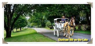 horse drawn carriage for a romantic evening
