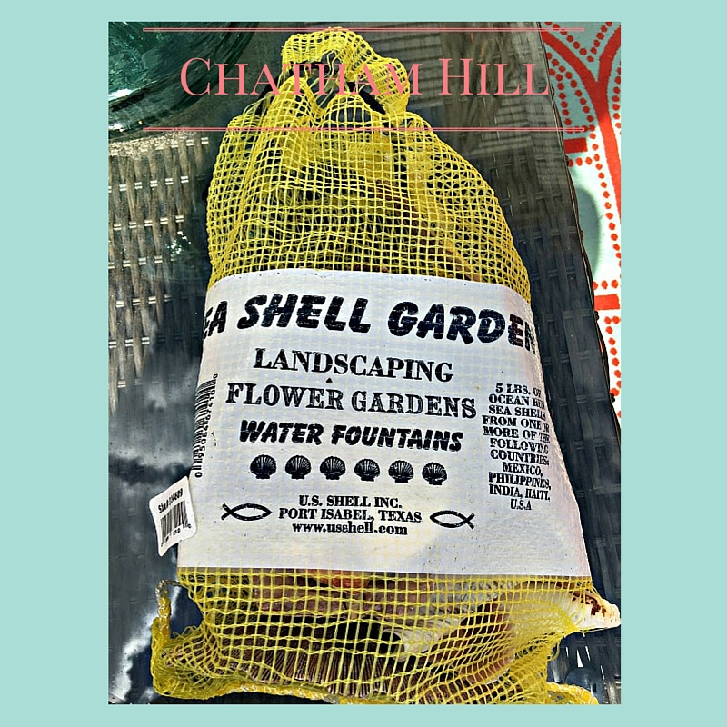 Sea Shells www.chathamhillonthelake.com
