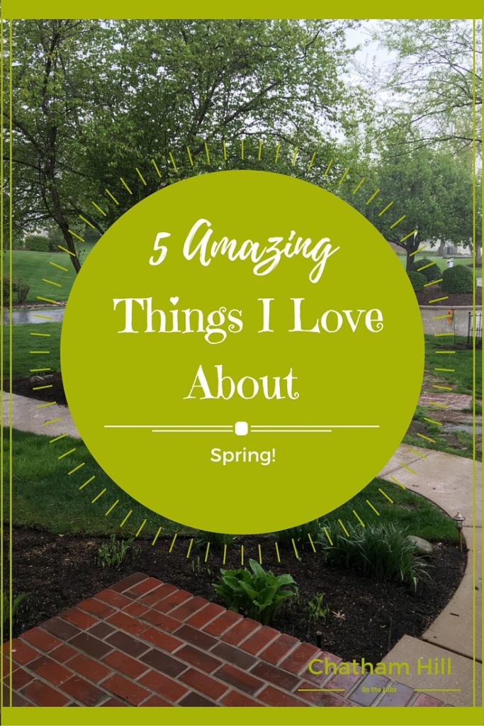 5 Amazing Things I love about Spring