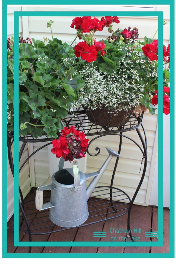 Geraniums and watering can www.chathamhillonthelake.com