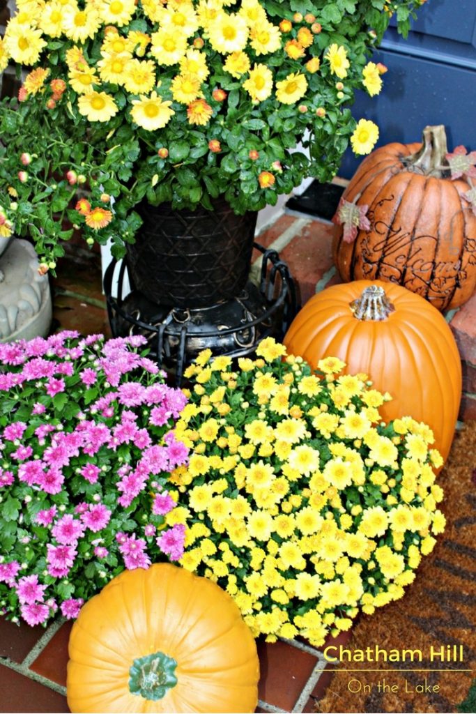 Pumpkins and Mums on the Porch www.chathamhillonthelake.com