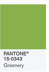 Greenery color of the year by Pantone www.chathamhillonthelake.com