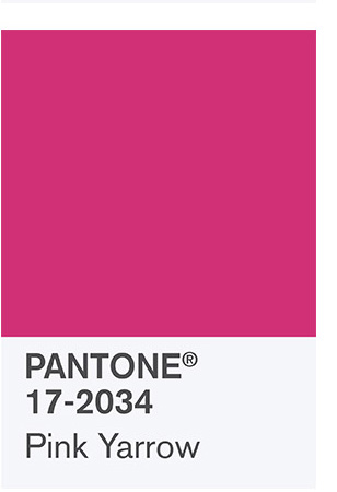 Pink Yarrow a favorite in the palette for 2017 Spring by Pantone www.chathamhillonthelake.com