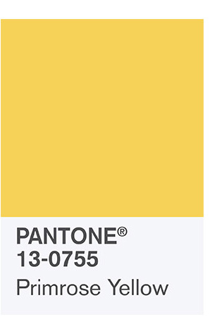 Primrose yellow pantone 2017 color palette www.chathamhillonthelake.com